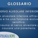 glossario nervo alveolare inferiore